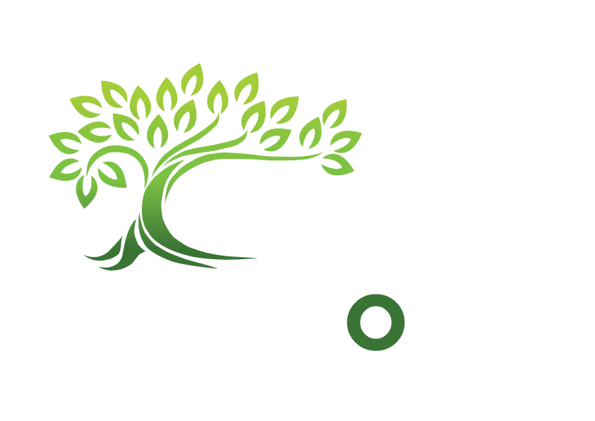 SAME DAY TREE logo final white-03